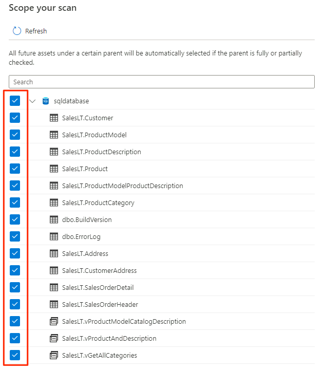 Screenshot that shows how to set the scope for the scan to the whole database.