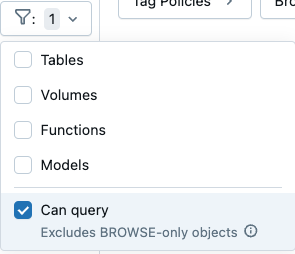 Filter settings with the can query toggle selected