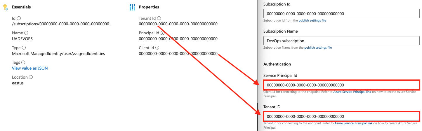 Screenshot that shows Azure portal managed identity values.