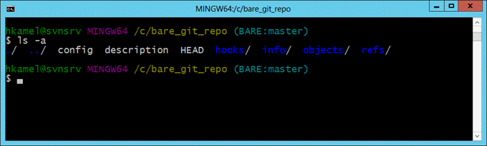 Bare git repo