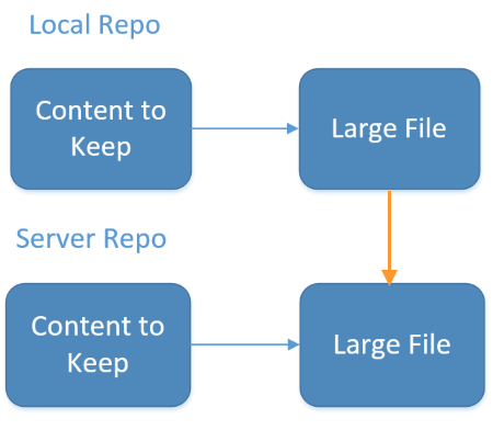 Server and local repos, both with a copy of the large video files