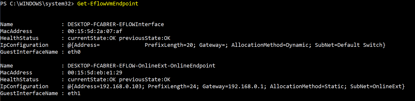 EFLOW get attached network interfaces