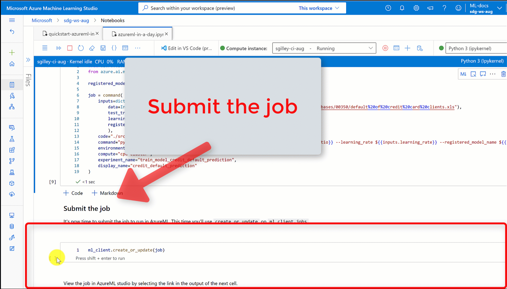 Screenshot shows the overview page for the job.