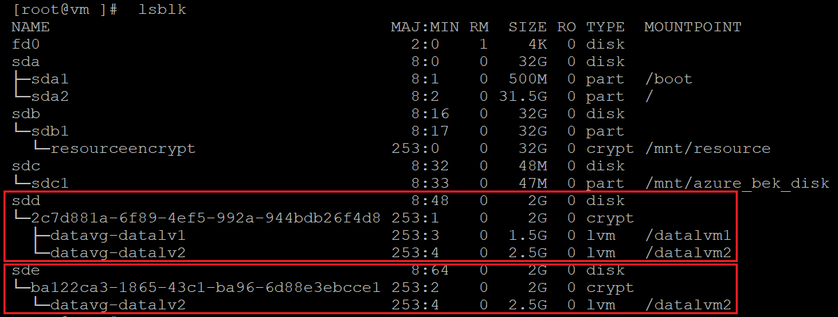 Screenshot showing the code that identifies the encrypted disks. The results are highlighted.