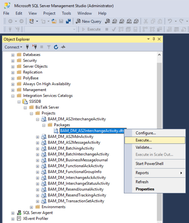 Execute the BizTalk Server BAM activity in SQL Server Management Studio