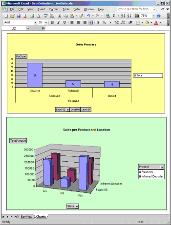 Image that shows the information in the BAM View Wizard.