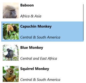 Screenshot of a ListView with a selection.