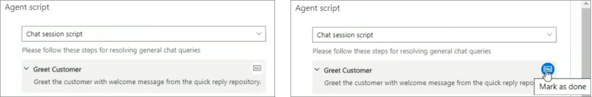 Agent script text instruction.