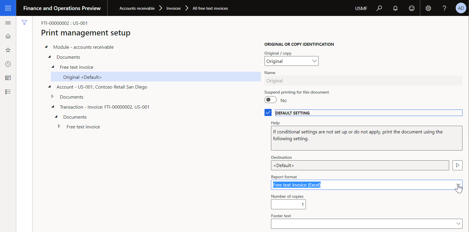 Print management settings for a free text invoice in the standard ER format on the Print management setup page.