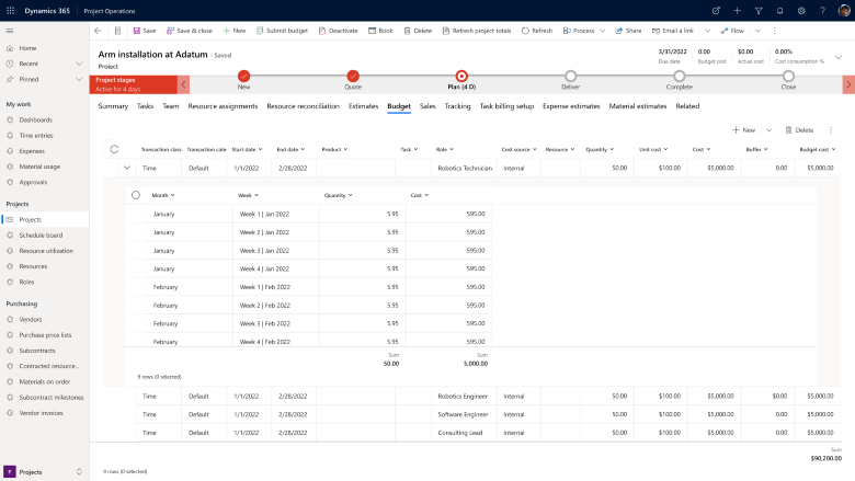 Screenshot of budgeted cost distributed across time.