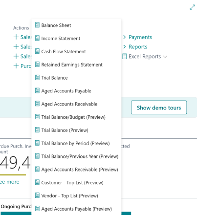 New Excel reports. Reports are marked as preview for the 2024 wave 1 release.