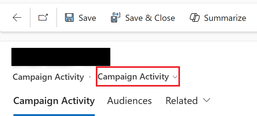 Screenshot of the Campaign activity form.