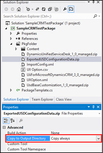 Copy to output directory field.