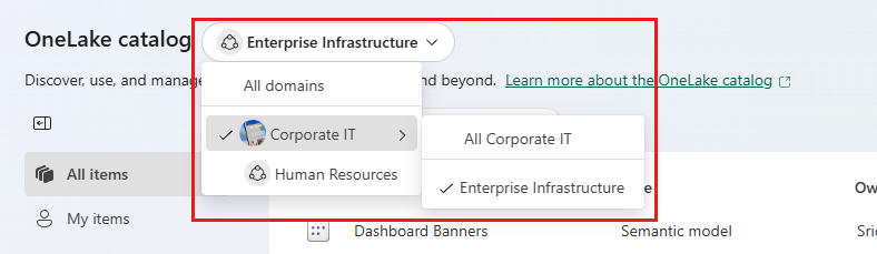 Screenshot of the domains selector in the OneLake catalog.