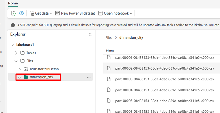 Screenshot of viewing files in lakehouse in Fabric.