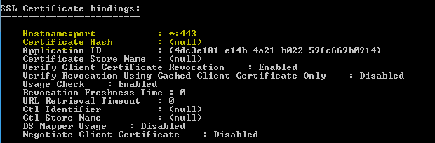 Screenshot of a command line window. The window shows the new S S L binding type. The S S L binding is host name colon port.