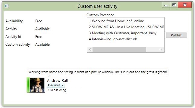 Screen shot of sample that shows custom activity