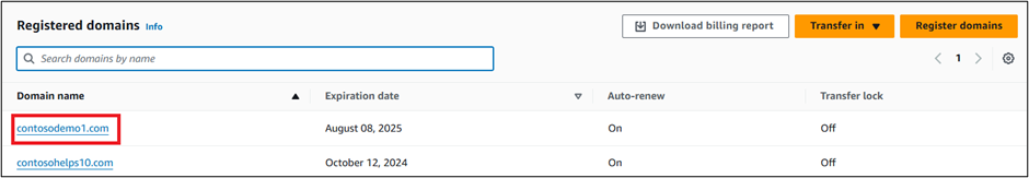 Screenshot of Registered Domains where you select the Domain Name for the domain verification TXT record.