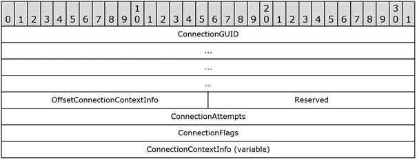 AUX_CLIENT_CONNECTION_INFO auxiliary block structure. Information about the client connection to be logged by the server.