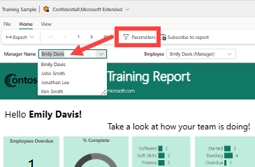 Screenshot of the Power BI service showing two parameters.