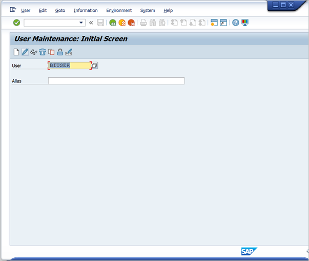 SAP BW User maintenance screen