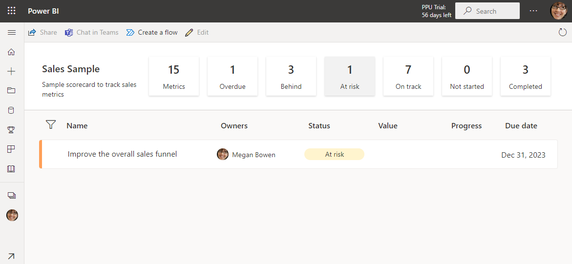 Screenshot of goals filtered to status at risk via summary card.