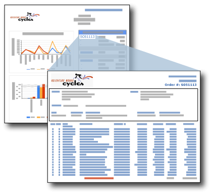 Screenshot showing drillthrough report.