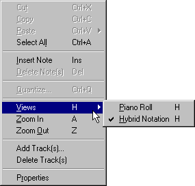 Note editor view menu 