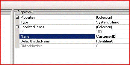 Customer entity identifier Name property