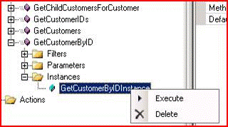 Execute GetCustomerByIDInstance method