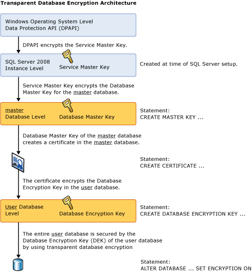 Displays the hierarchy described in the topic.