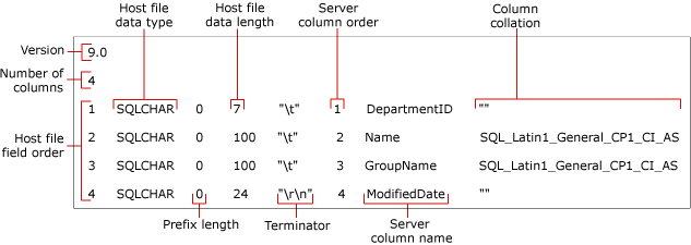 Identifies the fields of a non-XML format file