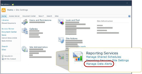 Reporting Services section of Site Settings page