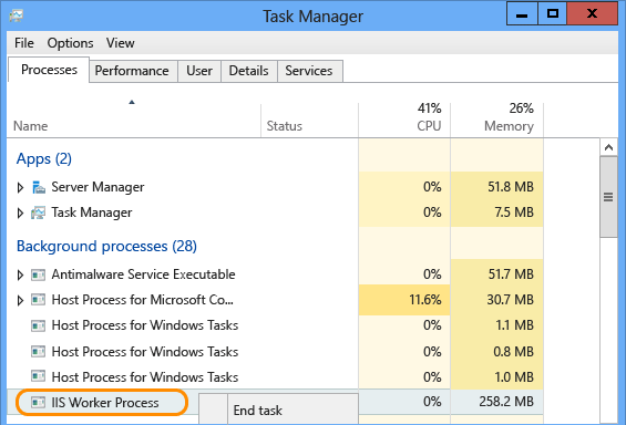 IIS worker process