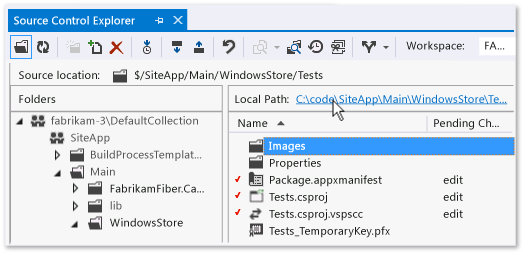 Test project in Source Control Explorer