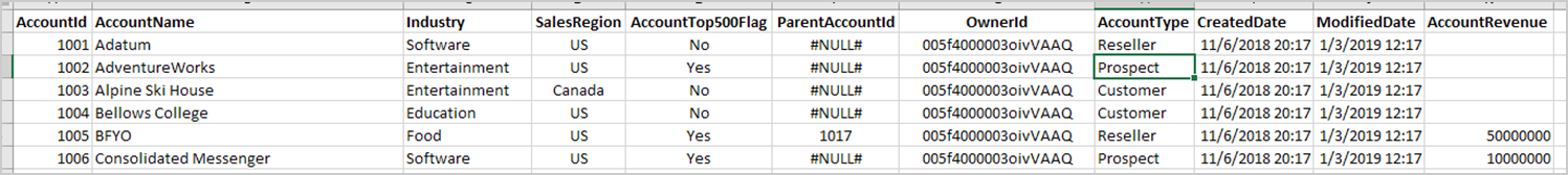 File format for Dynamics accounts.