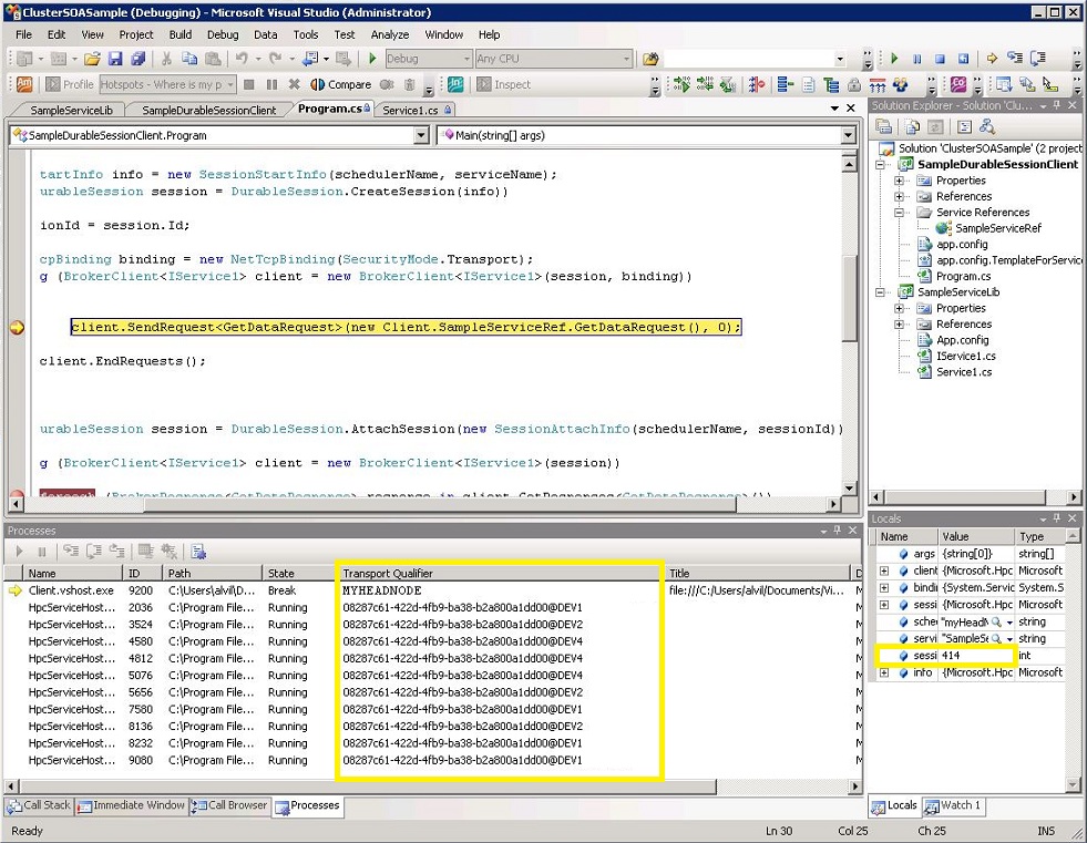 Locals and Processes debug windows in Cluster-SOA