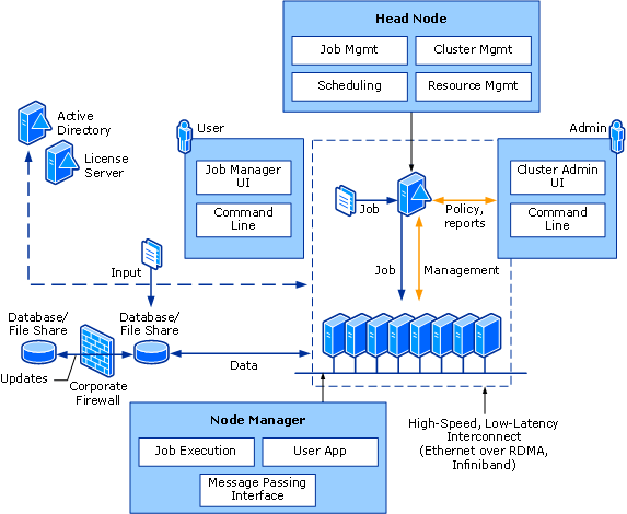 Elements of the cluster