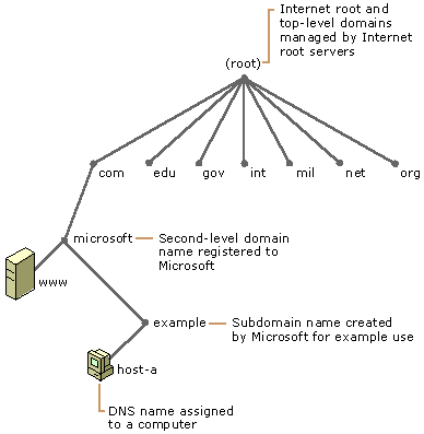 DNS Domain namespace