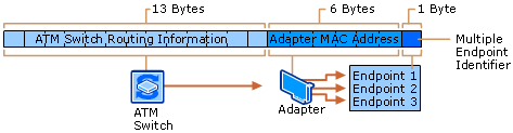 Simplified View of ATM Addressing