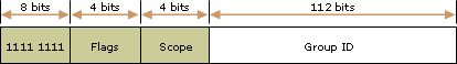 Structure of an IPv6 multicast address