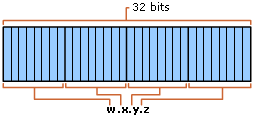 IP Address