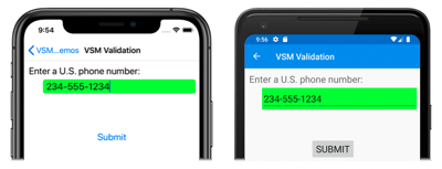 VSM Validation: Valid State