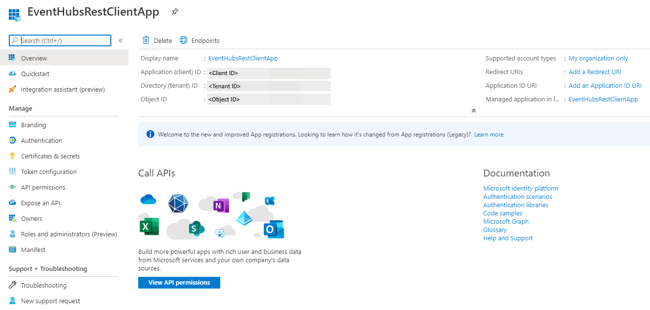 Screenshot showing the home page with client ID and tenant ID highlighted.