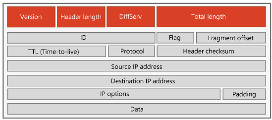 IPv4 header.