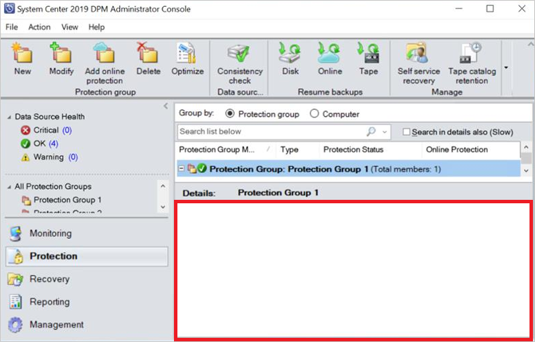 console with no details for Protection Group