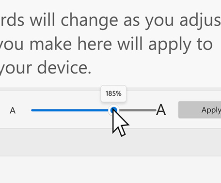 Screenshot of the adjustment pointer on the Display and Vision screen.