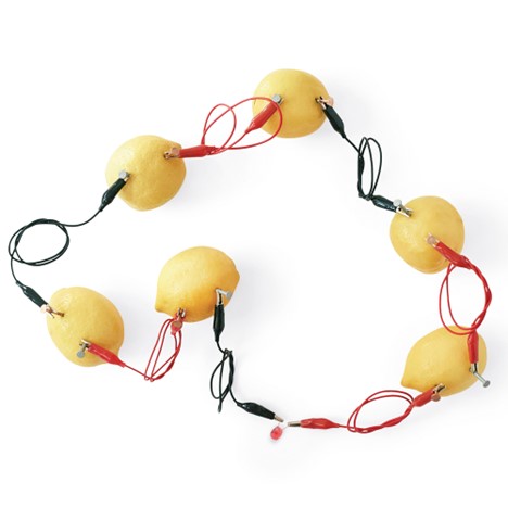 Photograph of a finished lemon battery from this activity.