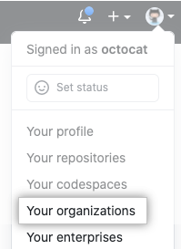 Your organizations in the profile menu