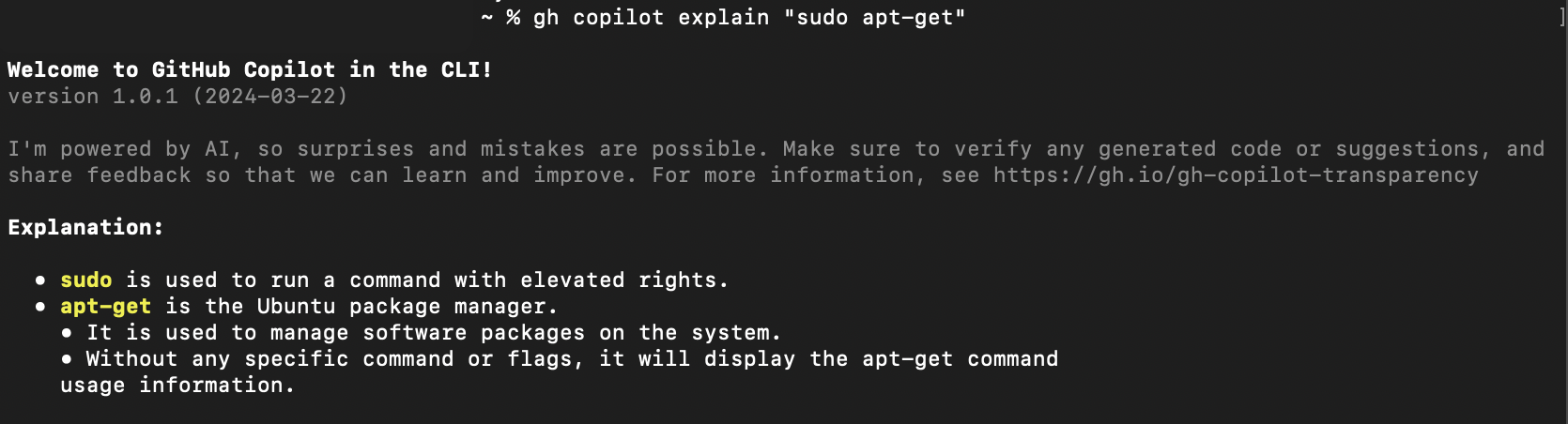 Screenshot of copilot explain in cli.